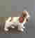 item-135853310=3