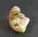 item-135870533=2