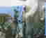 item-136395757=14