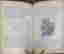 item-136403884=7