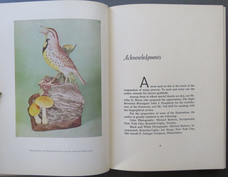 Cosentino, Porcelain Art of Edward Marshall Boehm, 1st US Ed. 1966, illustrated: "Boehm's Birds: The Porcelain Art of Edward Marshall Boehm" by Frank J. Cosentino, with Appreciation by John D. Morse, published by Fell, New York, First Edition, stated Third Printing June 1966; illu