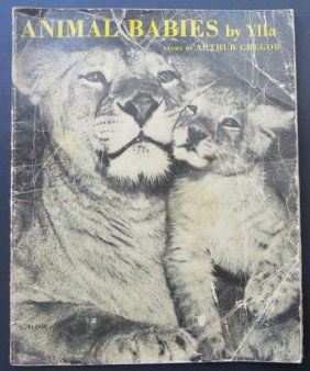 Gregor, Animal Babies, 1st/1st Ed. 1959, Photos by Ylla Koffler