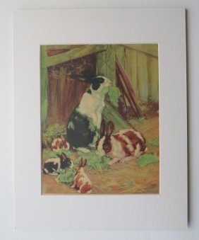 Diana Thorne, Farm Rabbits, 1932 Original Color Print with Mat