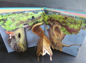 Animal Homes, Pop-Up Action Book 1989, 1stEd, John Strejan, Terreson illustrations