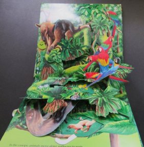 Explore Tropical Forest, Pop-Up Action Book 1989, 1stEd. John Strejan, Gibson illustr.