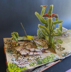 Creatures of the Desert, Pop-Up Action Book, 1989, Strejan & Diaz, Gibson illustr.