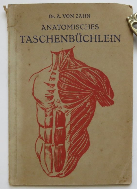 Von Zahn, Pocketbook of Human Anatomy, 29 Woodcuts, 1920s (1 of 10)