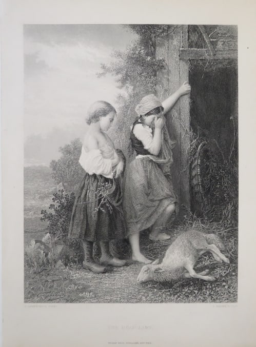 Campotosto, Dead Lamb, 1872 Steel Engraving Thomas Brown, Hess 1880s (1 of 5)
