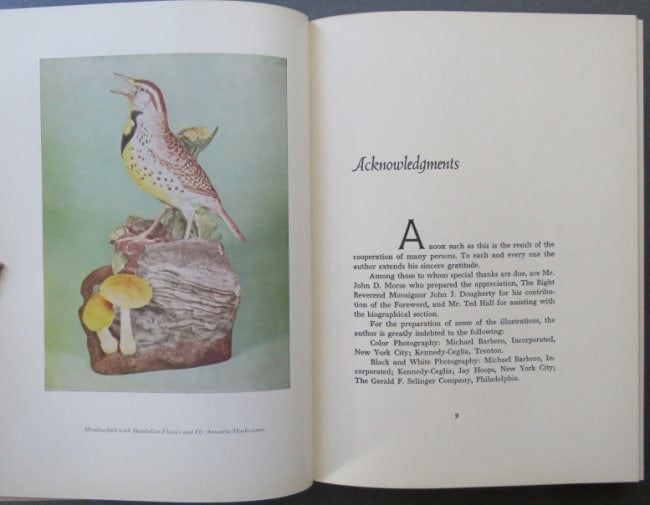 Cosentino, Porcelain Art of Edward Marshall Boehm, 1st US Ed. 1966, illustrated (1 of 15)