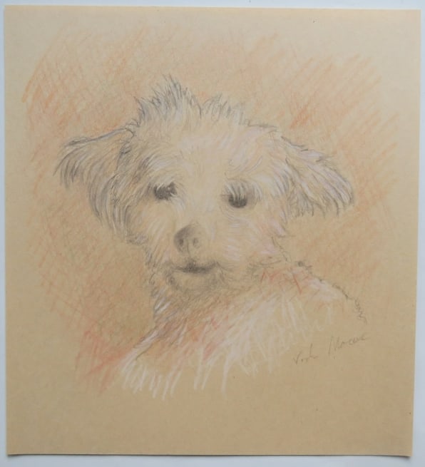 Cute Dog, Original Vintage Drawing, Pencil on Paper, signed, 1990s (1 of 3)