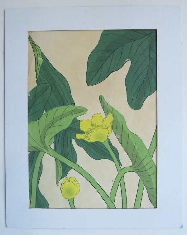 Sakai Hoitsu, Kerria Japonica, 1st Print Antique Woodblock 1907-1908: Sakai Hoitsu,"Kerria Japonica"(?) an original woodblock print from the Shiki no hana, authentic first printing by Yomada Unsodo, Kyoto, 1907-1908, Meiji Era 40-41. Woodblock print, c. 6.1/4" x 8.1/2" 