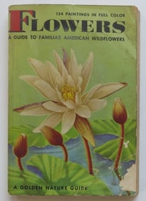 Zim & Martin, Flowers Arranged by Color, 1950, Rudolf Freund illustrations