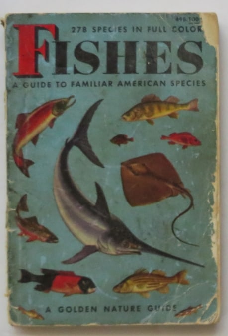 Fishes, Guide to Fresh & Salt-Water Species, 1956, Irving Color illustrations (1 of 11)