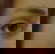 item-204737394=11