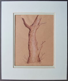Tree Trunk, Vintage Mid Century Drawing, Sepia on Paper, 1970s