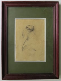 The Flower, Original Pencil Drawing on Paper, Signed, 1983, Glass Frame
