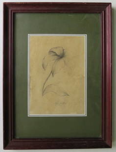 The Flower, Original Pencil Drawing on Paper, Signed, 1983, Glass Frame: "The Flower" original vintage drawing, pencil on sepia colored paper, signed, 1983, matted, vintage wooden glass frame. The drawing is 5.1/2" x 7" [14cm x 17.7cm]; very good condition. The frame is 9"
