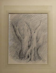 Group of Old Trees Original Pencil Drawing on Paper, Signed, 1988: "Group of Old Trees" original vintage drawing, pencil on paper, signed and dated 1988, matted. The drawing is c.7.1/2" x 10" [19cm x 25.5cm]; very good condition. The vintage mat is 10.3/4" x 14" [27.