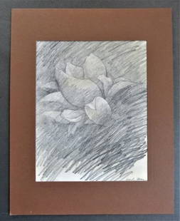 Agave, Vintage Drawing, Pencil on Paper, Signed, 1970s: "Agave", vintage drawing, pencil on paper, varnish, signed; matted. The drawing is c.7.3/4" x 9.3/4" (19.5cm x 25cm); mat 11" x 14" [28cm x 35.5cm]; unframed, very good condition. Rates vary per zone/