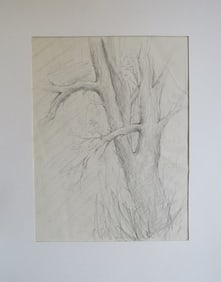 Tree, Vintage Original Drawing, Pencil on Paper, 1970s