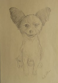 Chihuahua, Original Vintage Dog Drawing, Pencil on Paper, Signed, 1990s