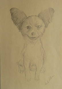 Chihuahua, Original Vintage Dog Drawing, Pencil on Paper, Signed, 1990s: "Chihuahua", original vintage drawing, pencil on 'antique' colored paper, signed, 1990s. The drawing is c.6.3/4" x 10" [17" x 25.4cm]; very good condition. Rates vary per zone/ country -estimates