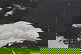 item-204812051=1