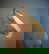 item-204862144=10
