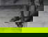 item-204955625=3