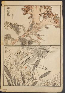 Yukoku Matsui, Cockscomb, Bunch-Flower, 1st Print 1901 Meiji Era: "Cockscomb and Bunch-flower" by Yukoku Matsui, from the Kotori no negura, "Birds and Flowers." This is an authentic first woodblock print created and published by Unkindodo, Kyoto in 1901, Meiji Era.