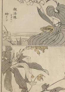 Yukoku Matsui, Plantain Lily and Frog, 1st Print 1901 Meiji Era: "Plantain Lily and Frog" by Yukoku Matsui, from the Kotori no negura, "Birds and Flowers." This is an authentic first woodblock print created and published by Unkindodo, Kyoto in 1901, Meiji Era. Anti