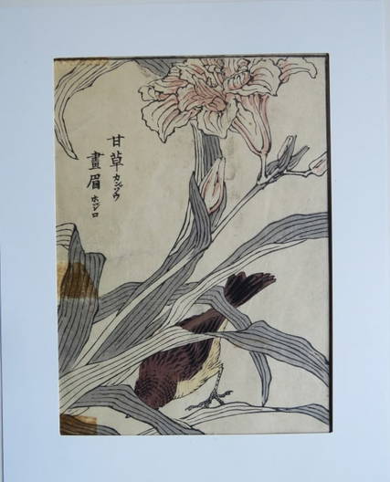 Meiji Woodblocks