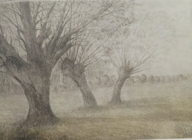Harry Horn, Willow Tree, German Colored Etching Limited Edition 1990 Signed