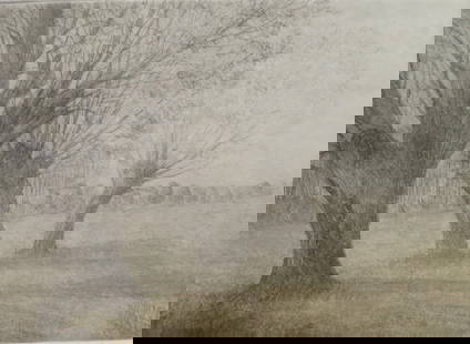 Harry Horn, Willow Tree, German Colored Etching Limited Edition 1990 Signed: "Willows", by Harry Horn; vintage multi-colored etching on heavy stock wove paper; limited & numbered edition of 40; plate# 1; pencil signed "Weiden" [Willow Trees]; marked 1-40, and signature "H.Horn