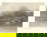 item-210619589=1