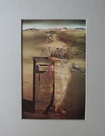 Salvador Dali, Spain, Litho Art Print 1979, Mat