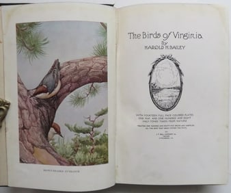 Bailey, Birds of Virginia, 1913, 1st Edition, 150 illustrations, 14 Color Plates
