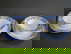 item-205594655=3