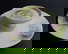 item-205622169=1