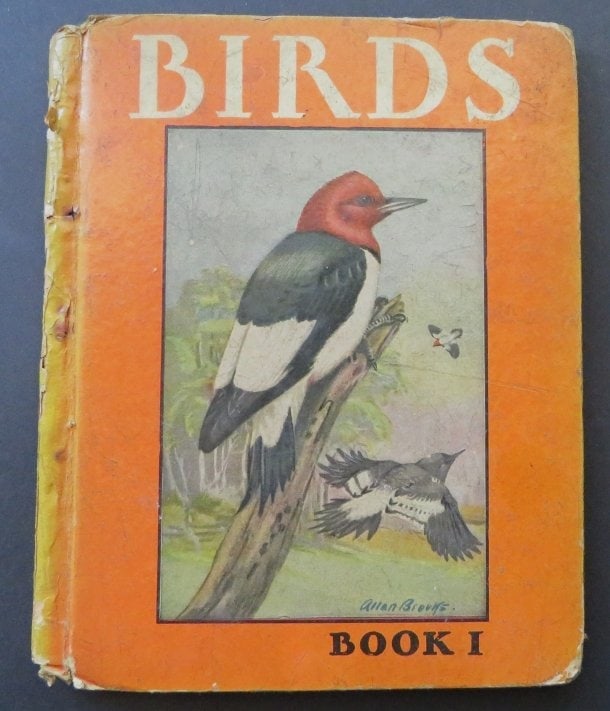 Julius King, Birds Book I, 1934, Allan Brooks Color Plates (1 of 12)