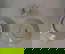 item-205932507=13