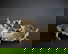 item-207398699=2