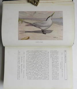 Bailey, Birds of Virginia, 1913, 1st Edition, 150 illustrations, 14 Color Plates: "The Birds of Virginia. With fourteen full page colored plates, one map, and one hundred and eight half-tones taken from nature. Treating one hundred and eighty-five species and subspecies; all the bi