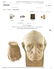 Abraham Lincoln, Leonard Volk Life Mask from Holzer - 2