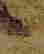 item-79957439=2
