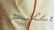 Pope John Paul II Fantastic Signed Photo with great - 2