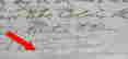item-84056548=3