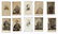 Ten Cartes de Visite of Civil War Officers
