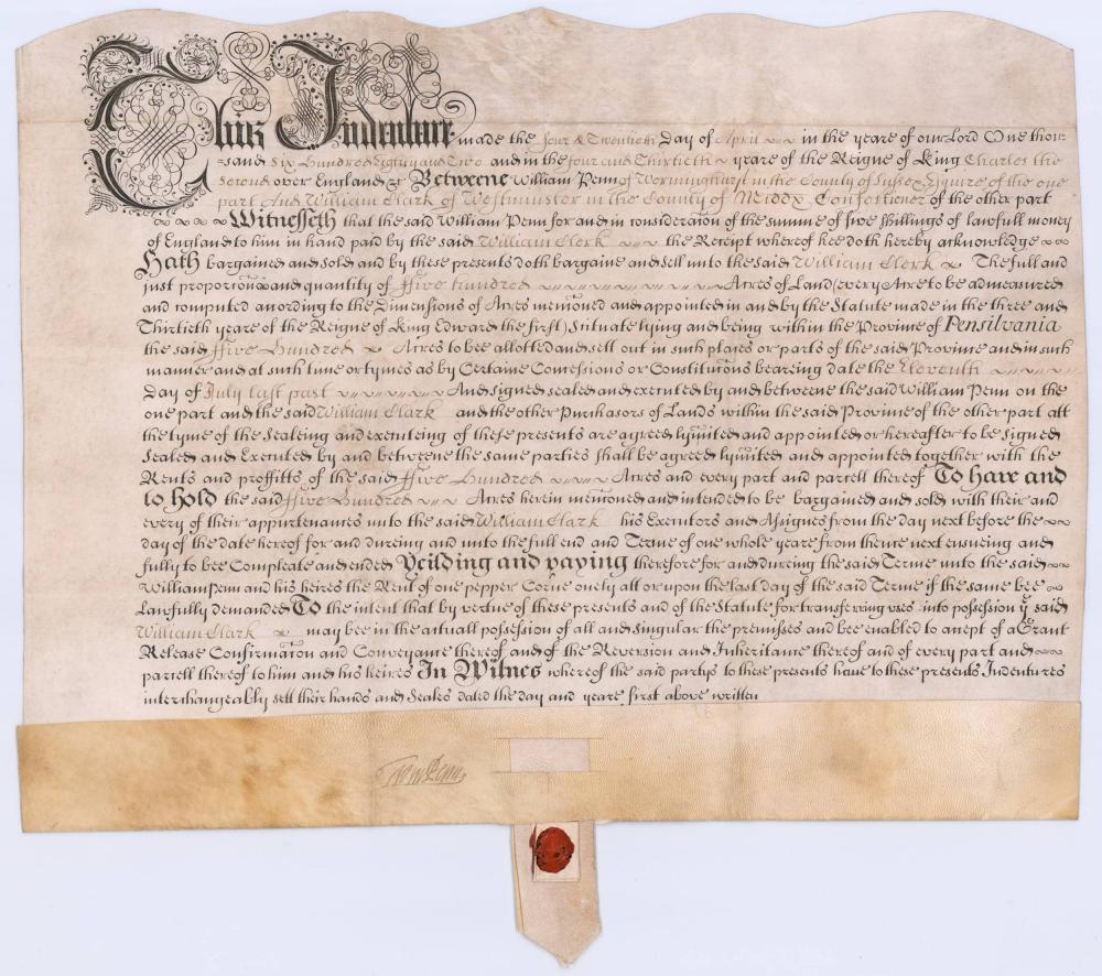 William Penn MDS Selling 500 Acres in His 1-Year-Old (1 of 4)