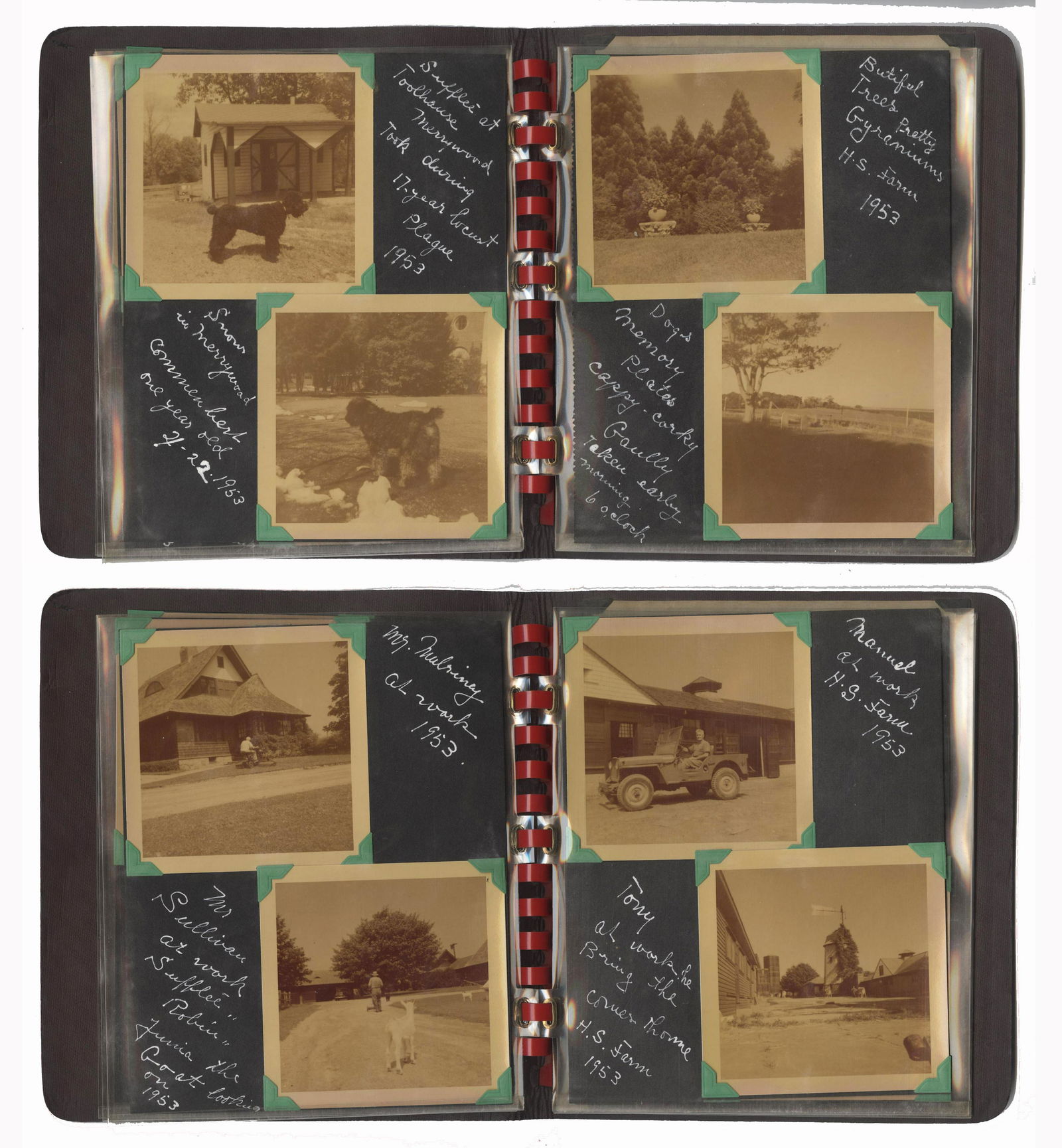 Amazing Album From Jackie Kennedy's Childhood at (1 of 6)